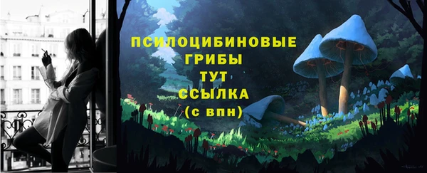 mix Абаза